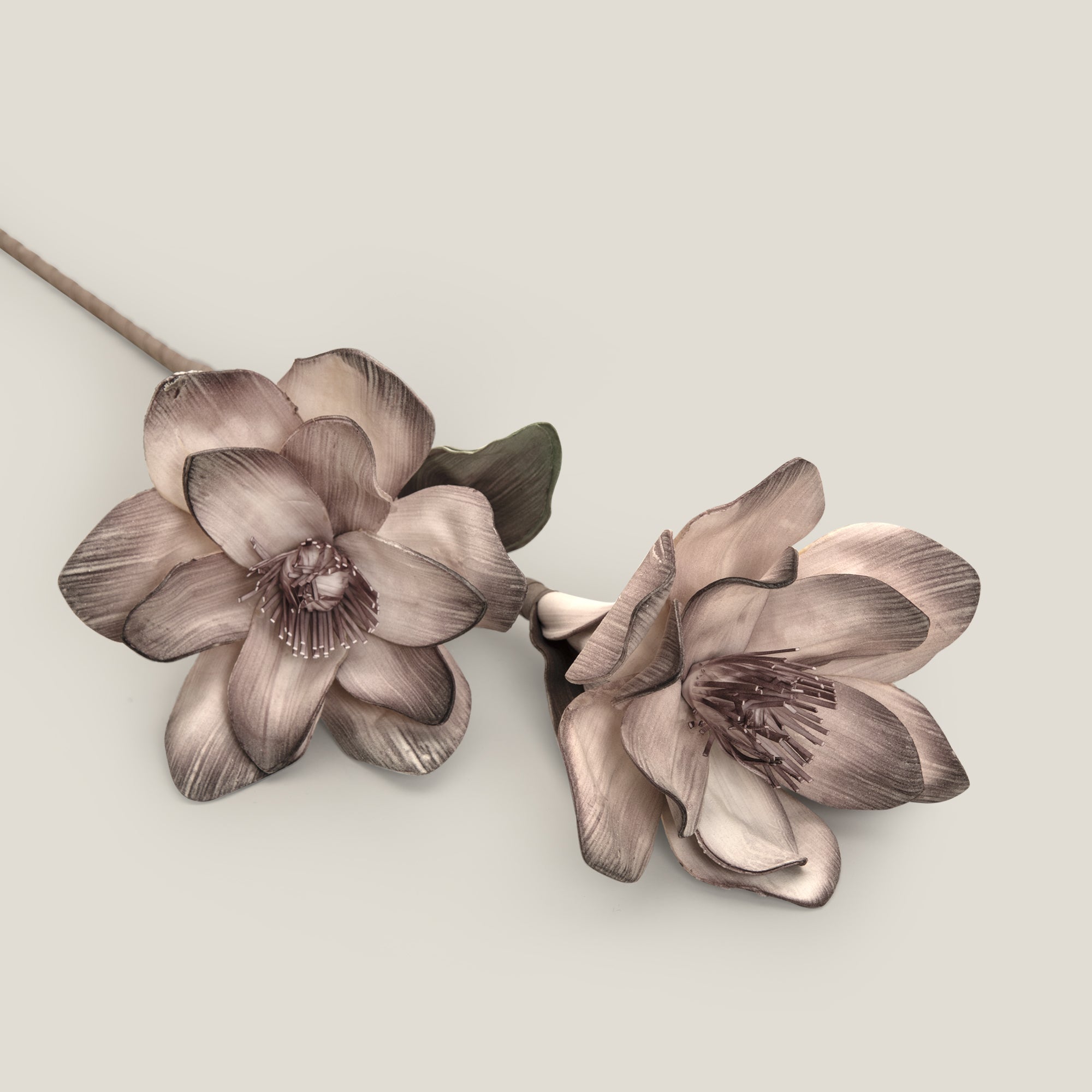 Plum Cottonwood Foam Flower