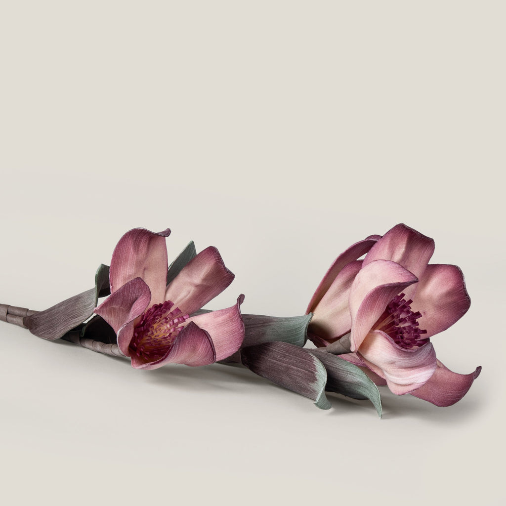 Pink Chinese Magnolia Foam Flower