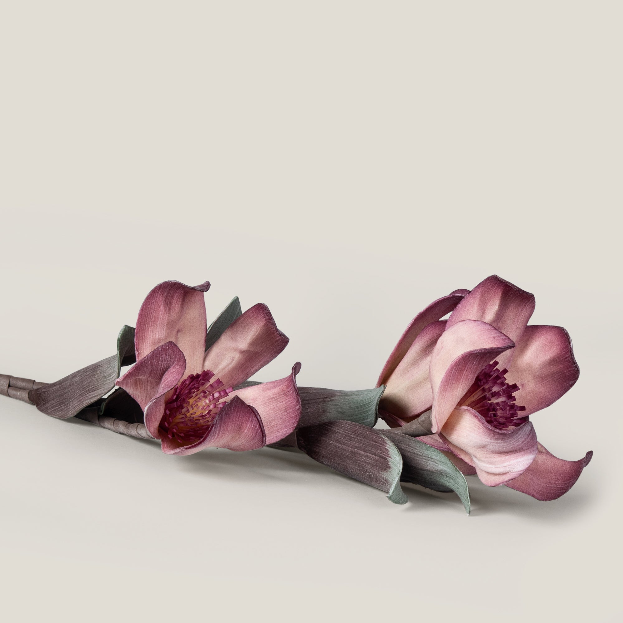 Pink Chinese Magnolia Foam Flower