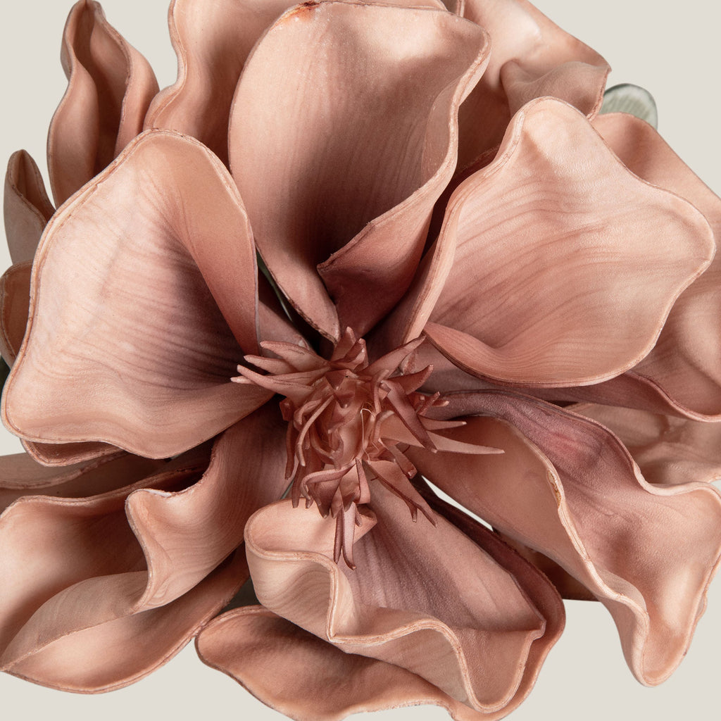 Blush Canna Foam Flower