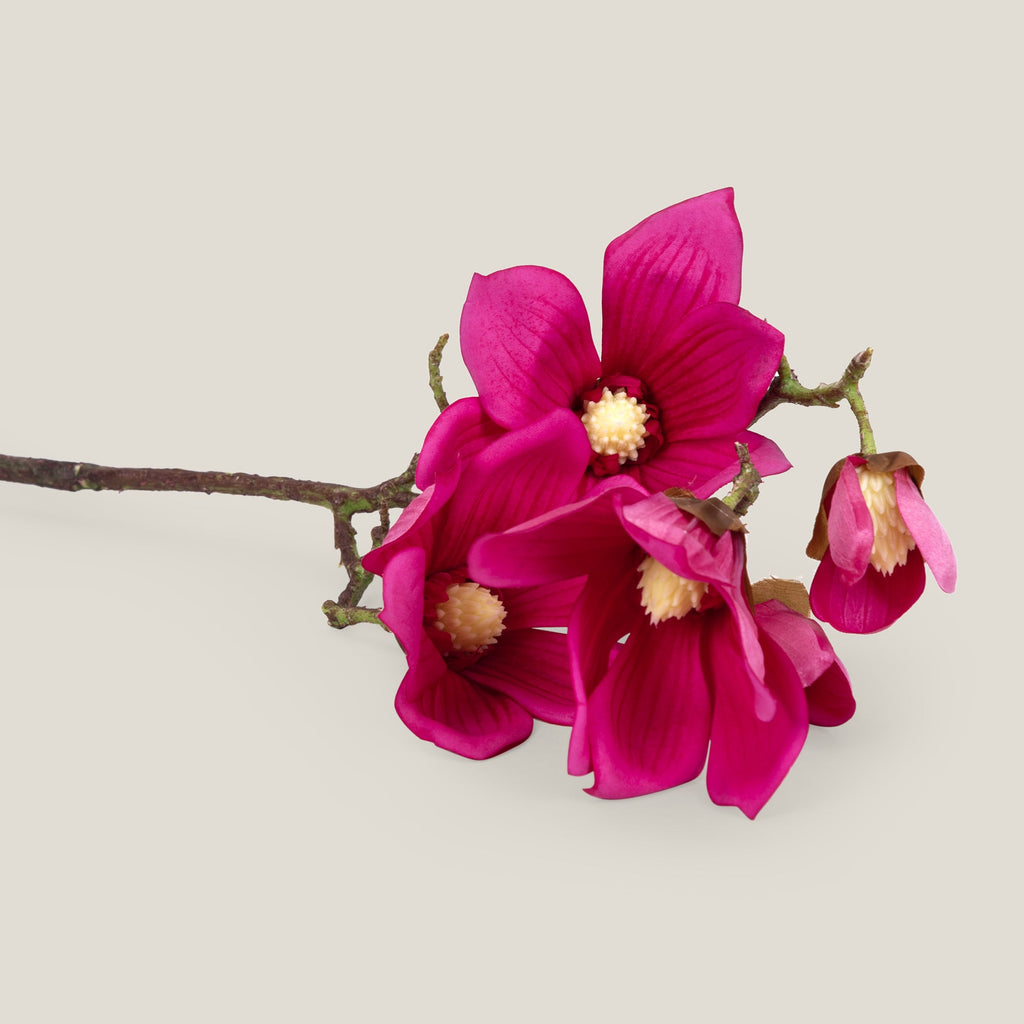 Magenta Magnolia Flower
