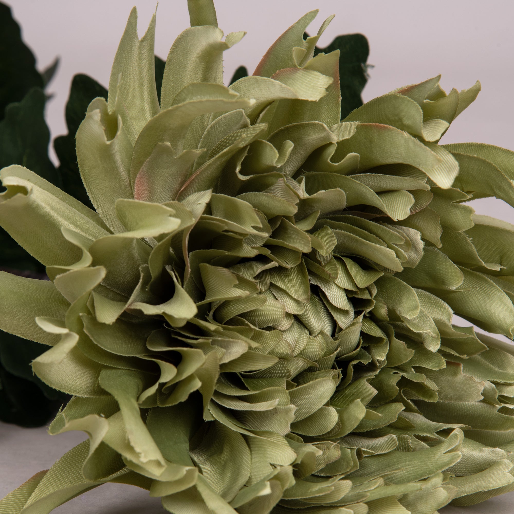 Green Crysanthemum Spray Flower